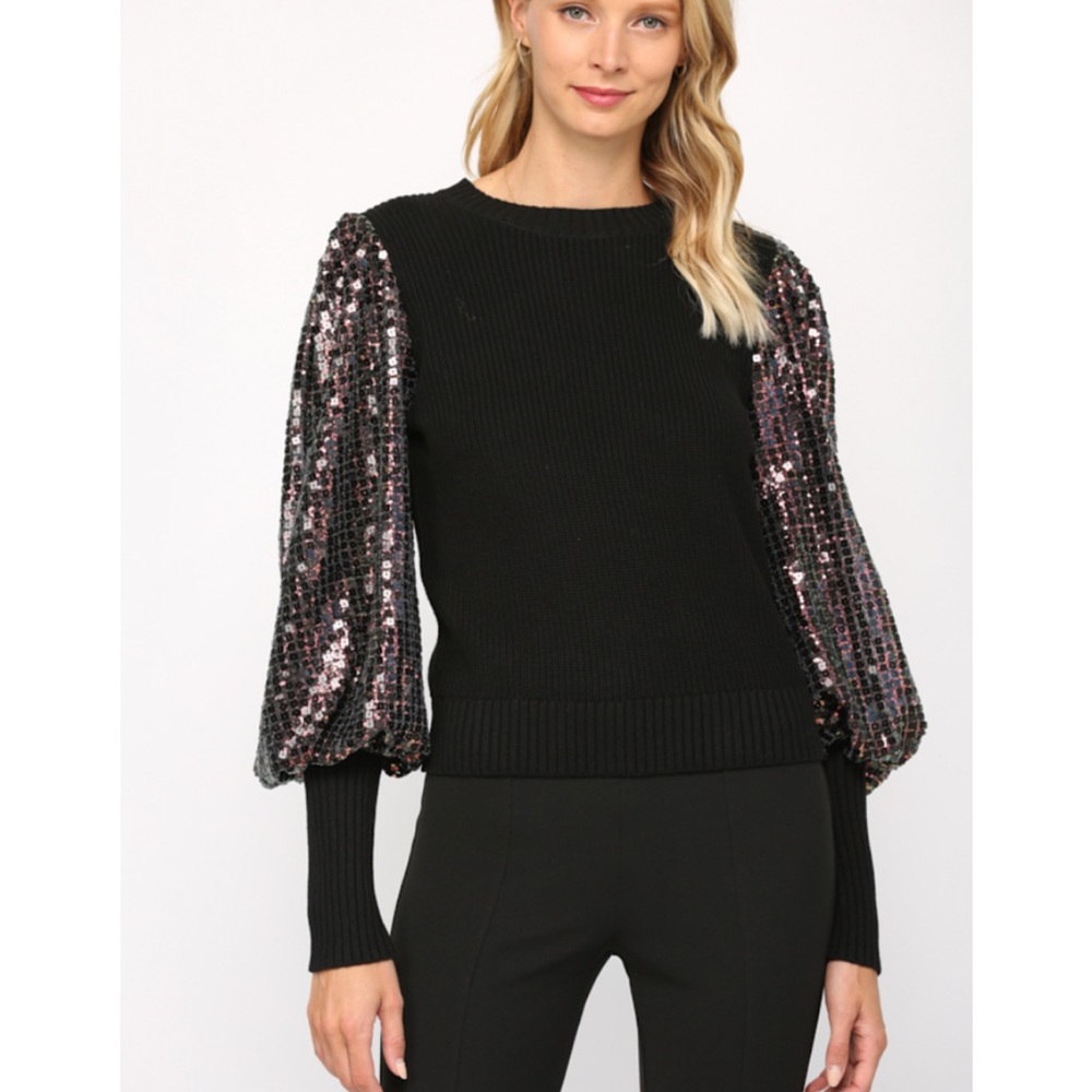 NWT Sequin sleeve top